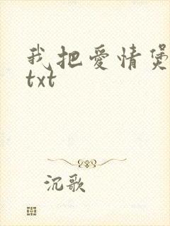 我把爱情煲成汤txt