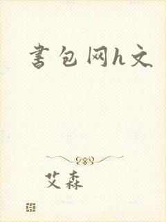 书包网h文