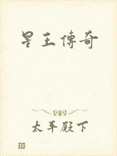 星王传奇封面