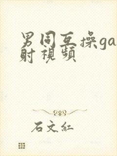 男同互操gay射视频