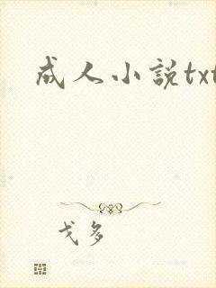 成人小说txt