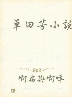 单田芳小说