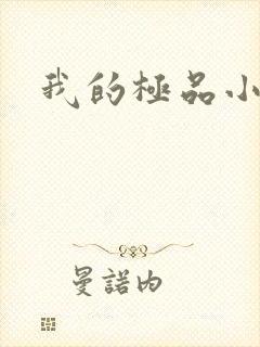 我的极品小姨