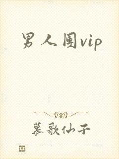 男人团vip