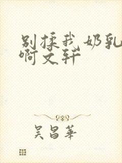 别揉我奶乳嗯～啊文轩封面