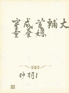 穿成首辅大人的童养媳