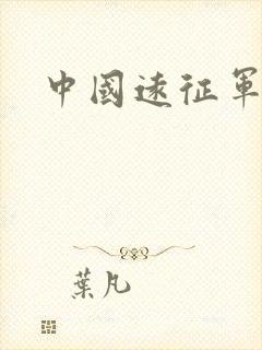 中国远征军小说封面