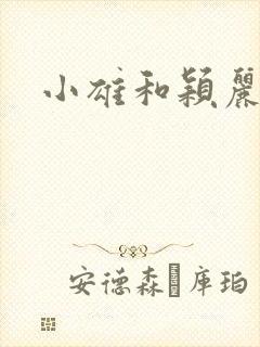 小雄和颖丽封面