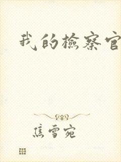 我的检察官先生