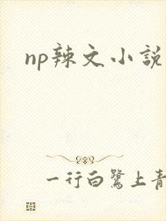 np辣文小说
