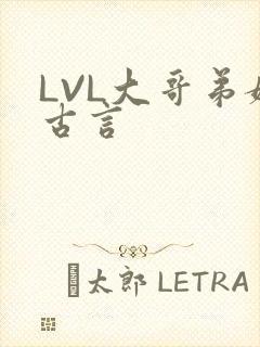 LVL大哥弟媳古言