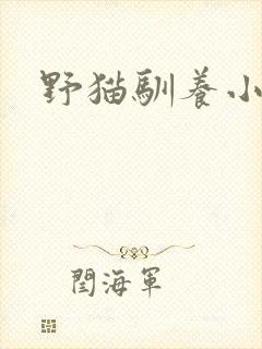 野猫驯养小说封面