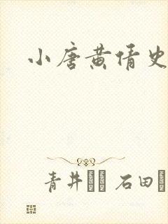 小唐黄倩史封面