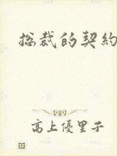 总裁的契约情人封面