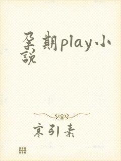 孕期play小说