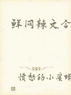 鲜网辣文合集