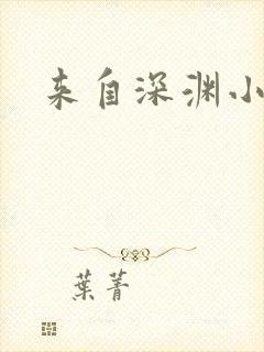 来自深渊小说