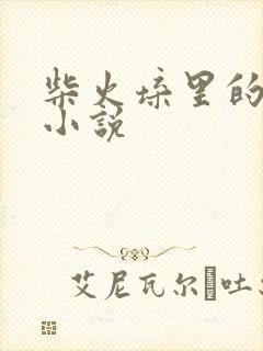 柴火垛里的疯狂小说封面