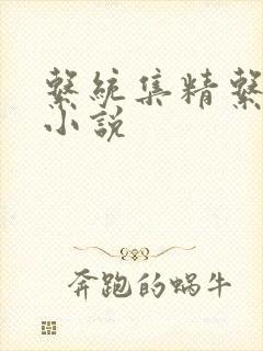 系统集精系统 小说