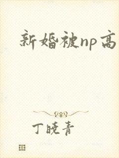新婚被np高h