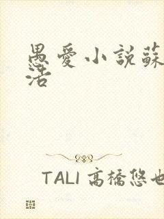 愚爱小说苏倩孙浩