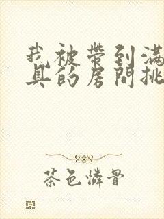 我被带到满是玩具的房间挑调作文