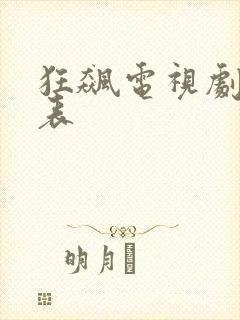 狂飙电视剧演员表封面