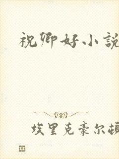 祝卿好小说