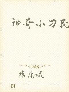 神奇小刁民
