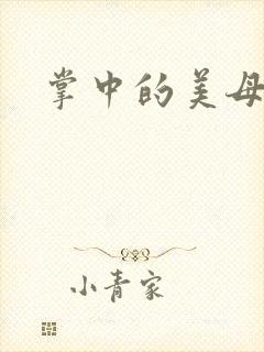 掌中的美母版主