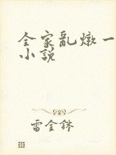 全家乱炖一锅烩小说
