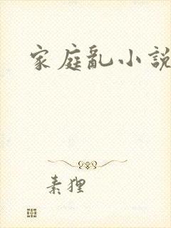 家庭乱小说