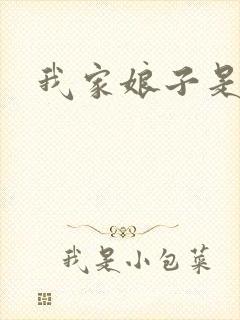 我家娘子是剑神封面