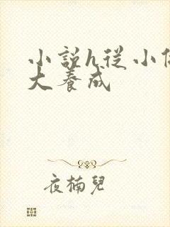 小说h从小做到大养成