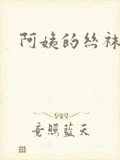 阿姨的丝袜小说