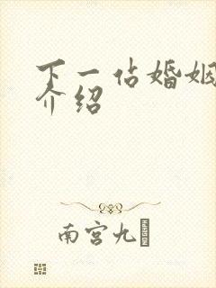 下一站婚姻剧情介绍