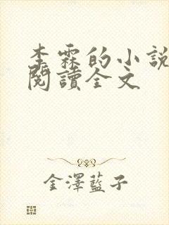 李霖的小说免费阅读全文封面