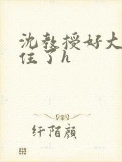 沈教授好大含不住了h