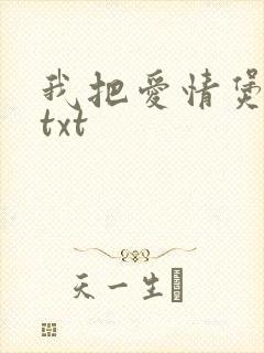 我把爱情煲成汤txt封面