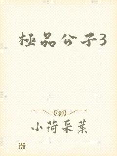 极品公子3
