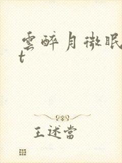 云醉月微眠txt封面