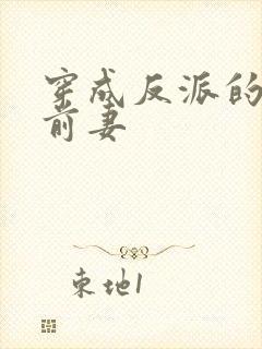 穿成反派的炮灰前妻封面