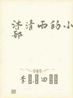 沐清雨的小说全部封面