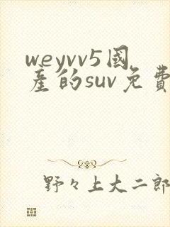 weyvv5国产的suv免费