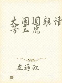 大团圆亲情会王芳王虎封面