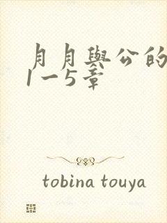 月月与公的激情1一5章