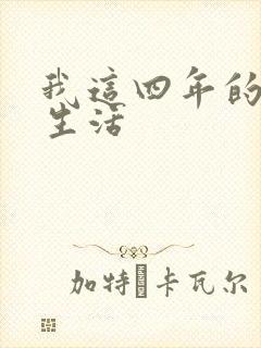 我这四年的奴隶生活封面