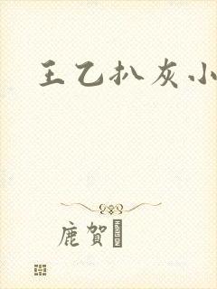 王乙扒灰小说封面