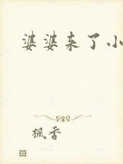 婆婆来了小说封面