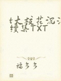 t大校花沉浮录续集TXT